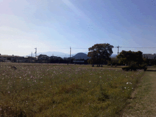 akiunebia.gif